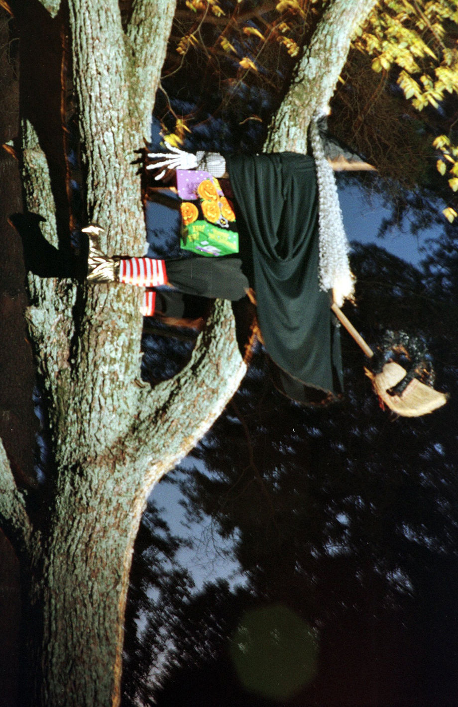 1998 Halloween